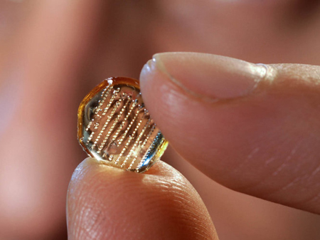 Các mũi kim siêu nhỏ, chưa tới 1 mm, được gắn trên bề mặt miếng dán vắc xin - Ảnh: Viện công nghệ Georgia
